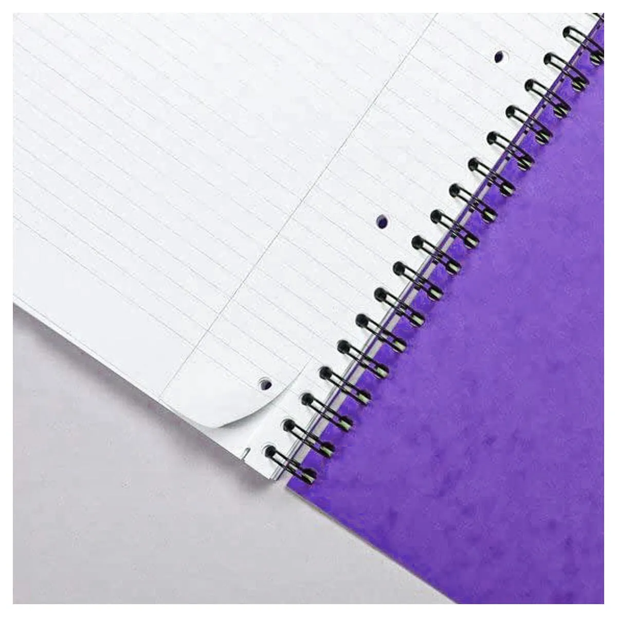 Clairefontaine Europa A4 Notemaker Plus 240 Lilac Notebook