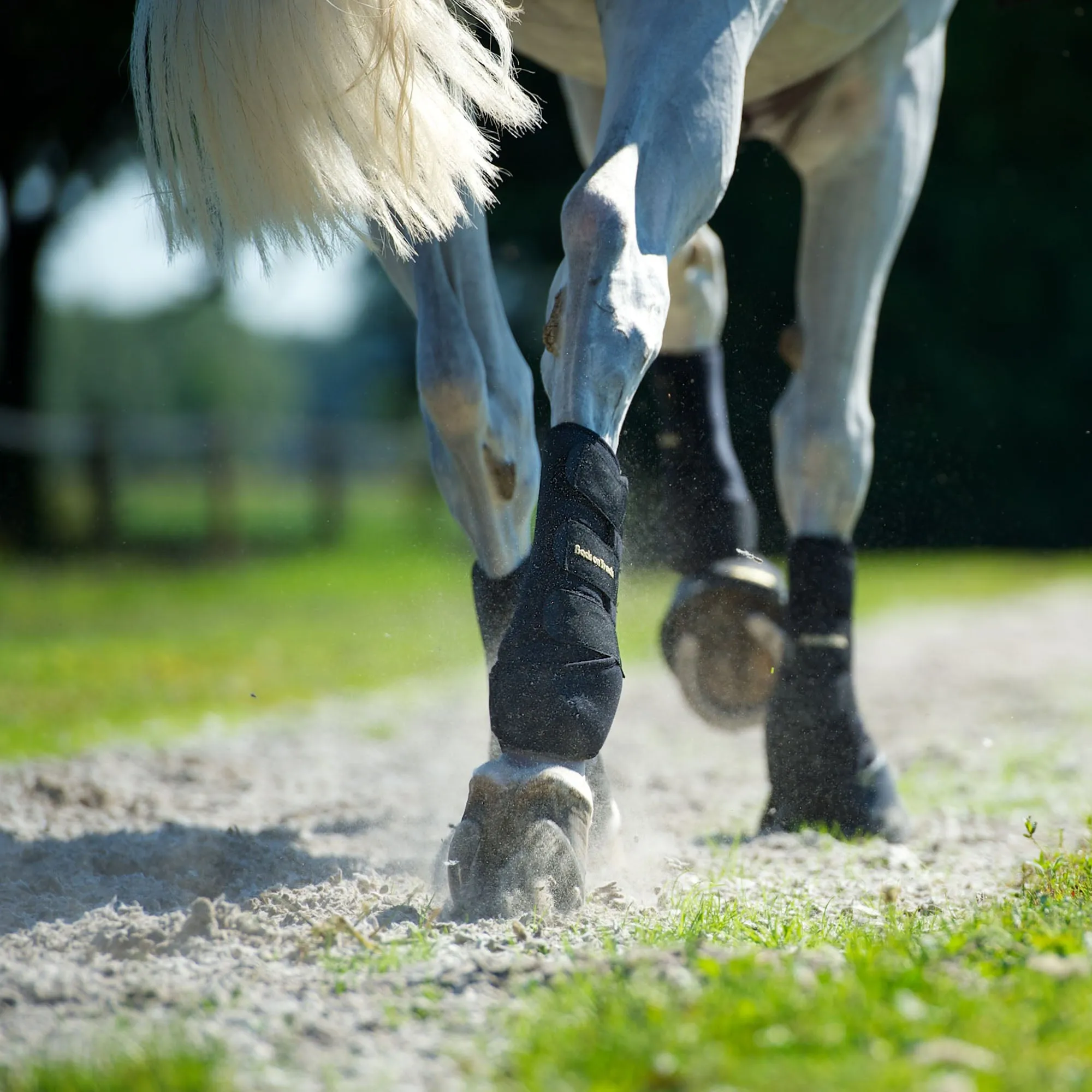 Classic Exercise Boots