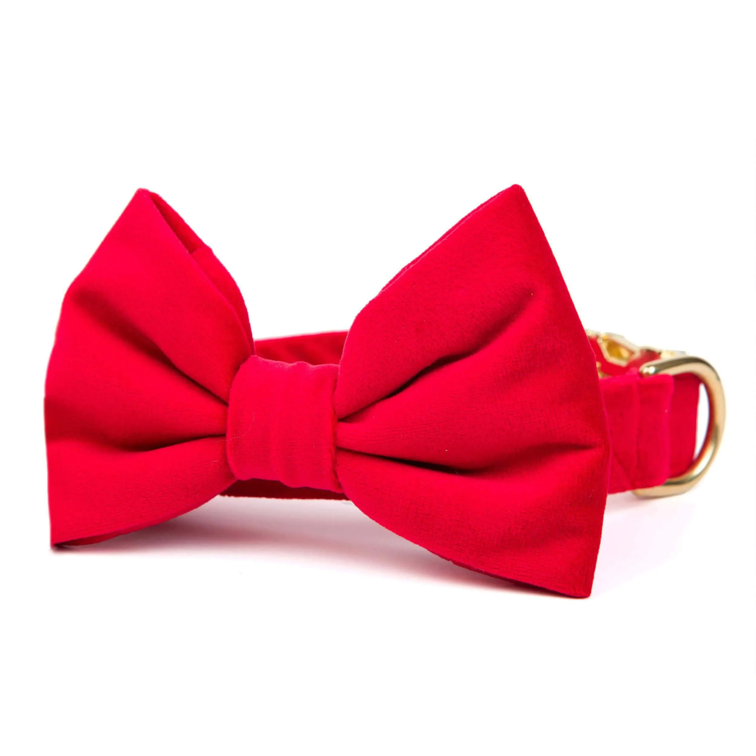 Cranberry Velvet Bow Tie Collar