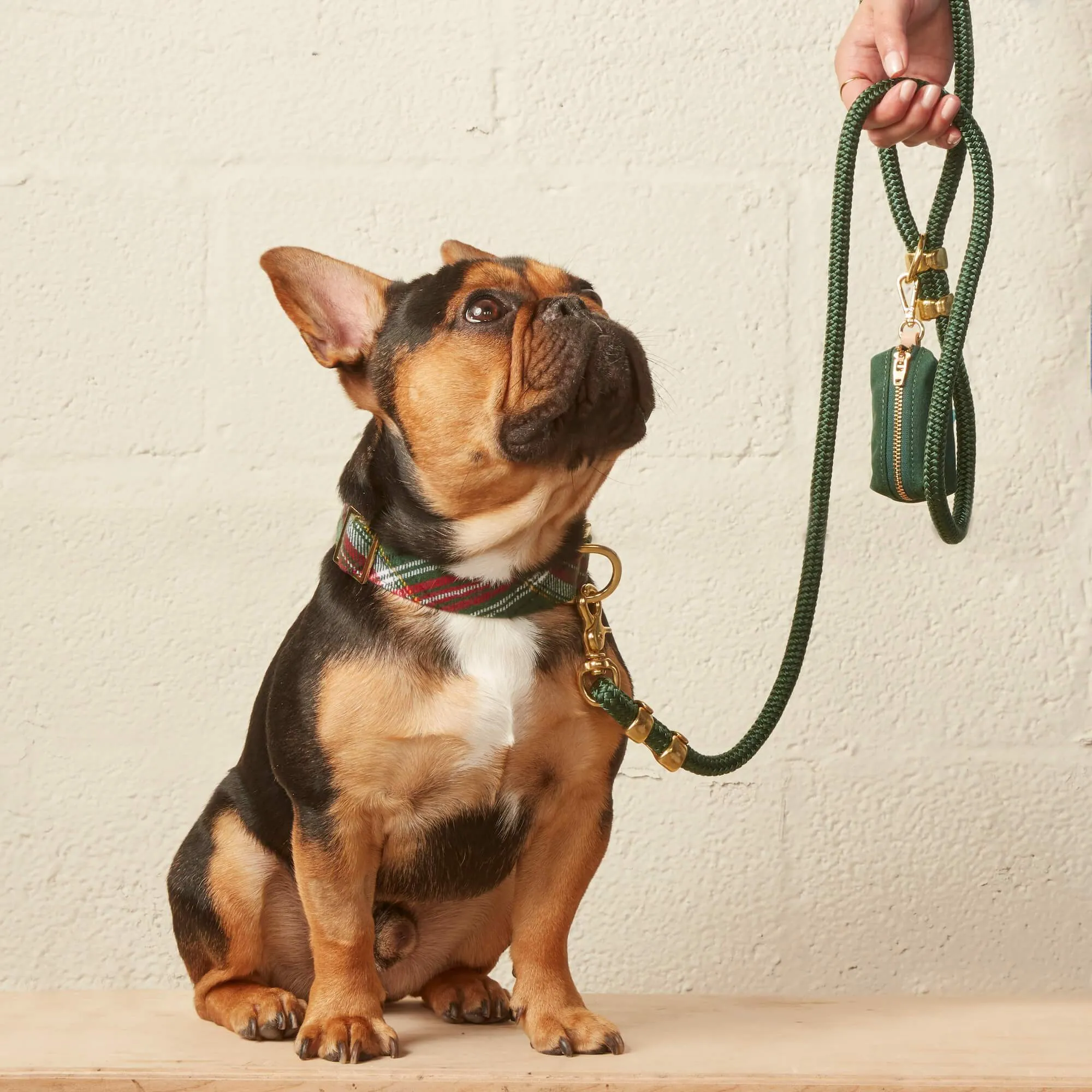 Holly Jolly Plaid Flannel Dog Collar