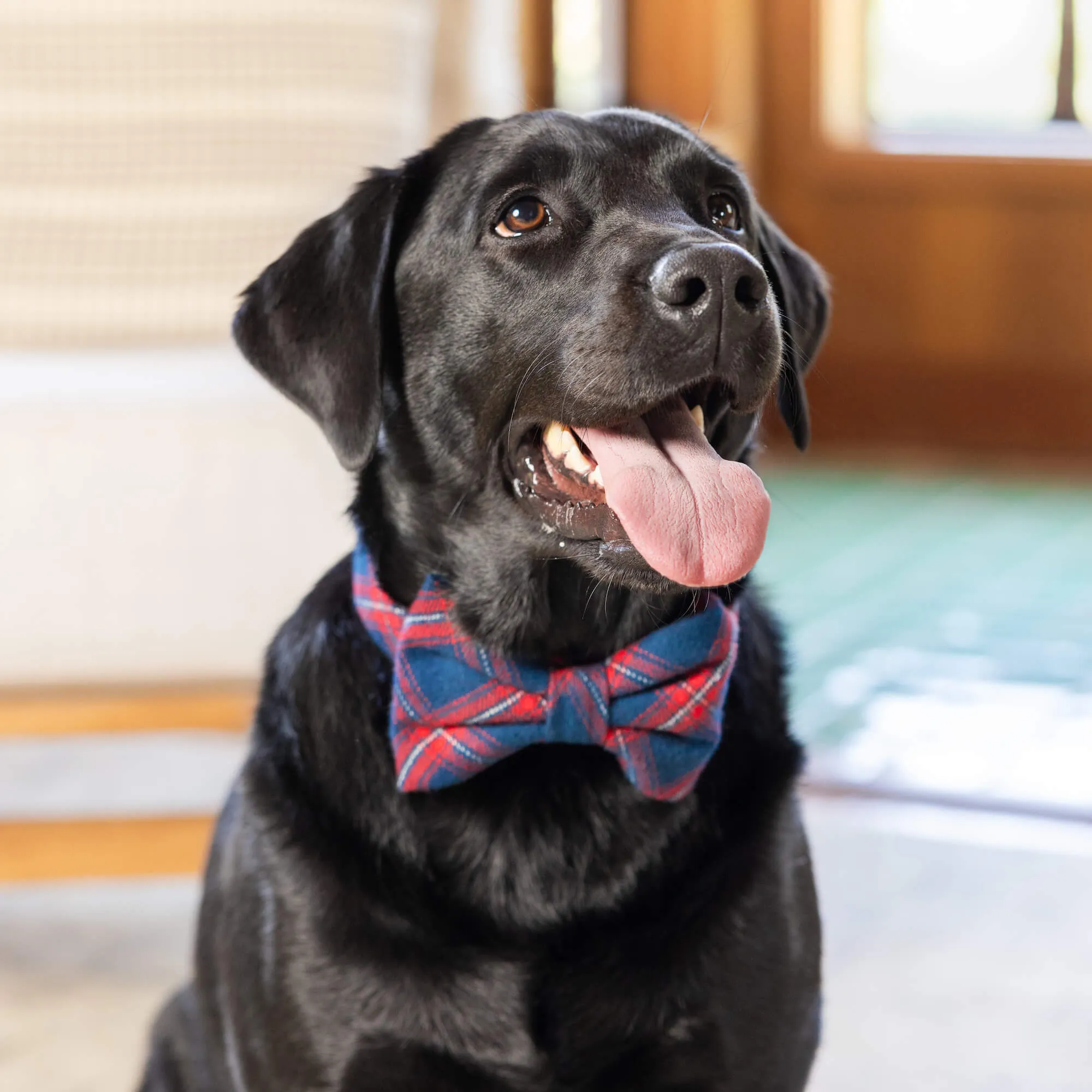 Kingston Plaid Flannel Bow Tie Collar