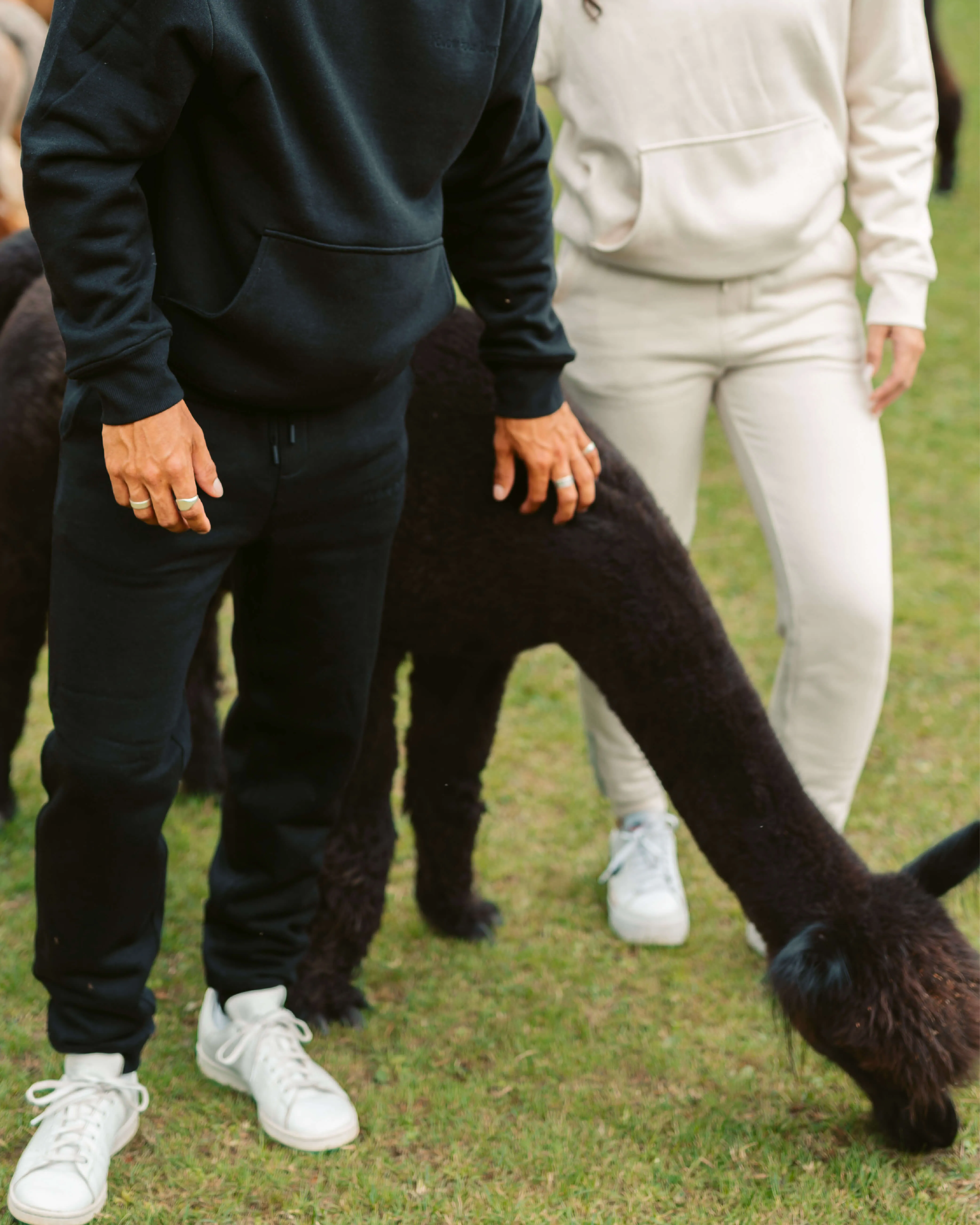 Men's AlpacaCloud® Heavyweight Joggers